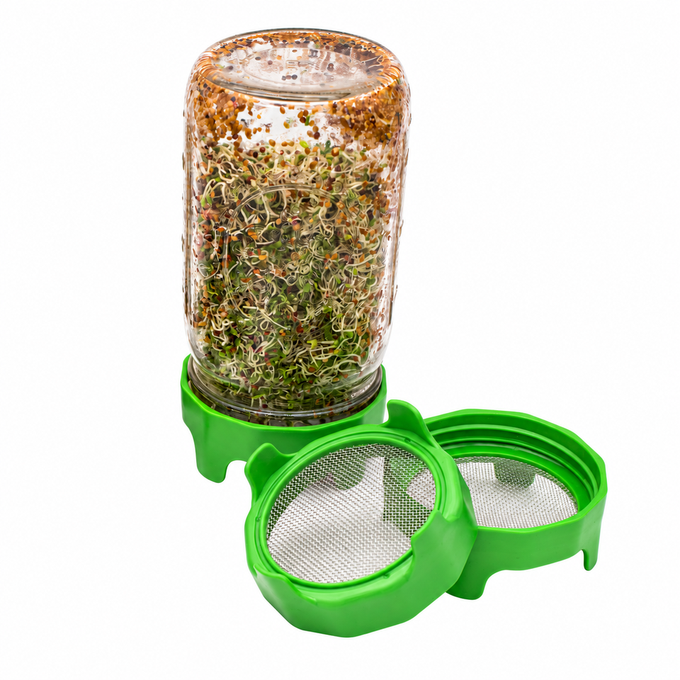 Leaf green sprouting lids with stainless steel mesh and built-in stands, shown with a jar of sprouts